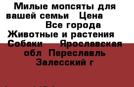 Милые мопсяты для вашей семьи › Цена ­ 20 000 - Все города Животные и растения » Собаки   . Ярославская обл.,Переславль-Залесский г.
